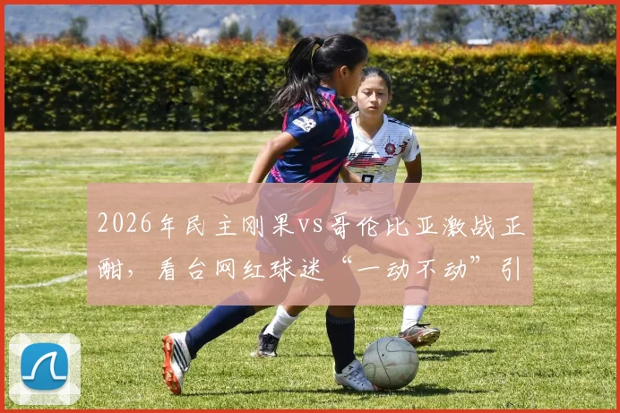 2026年民主刚果vs哥伦比亚激战正酣,看台网红球迷“一动不动”引热议,他是谁?